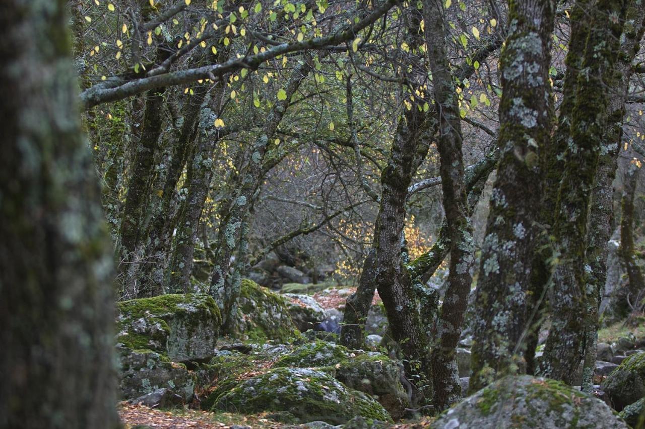 Hostel El Lago, Caceres Jaraiz de la Vera Dış mekan fotoğraf